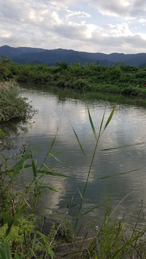 f:id:KFG:20190927120407j:image