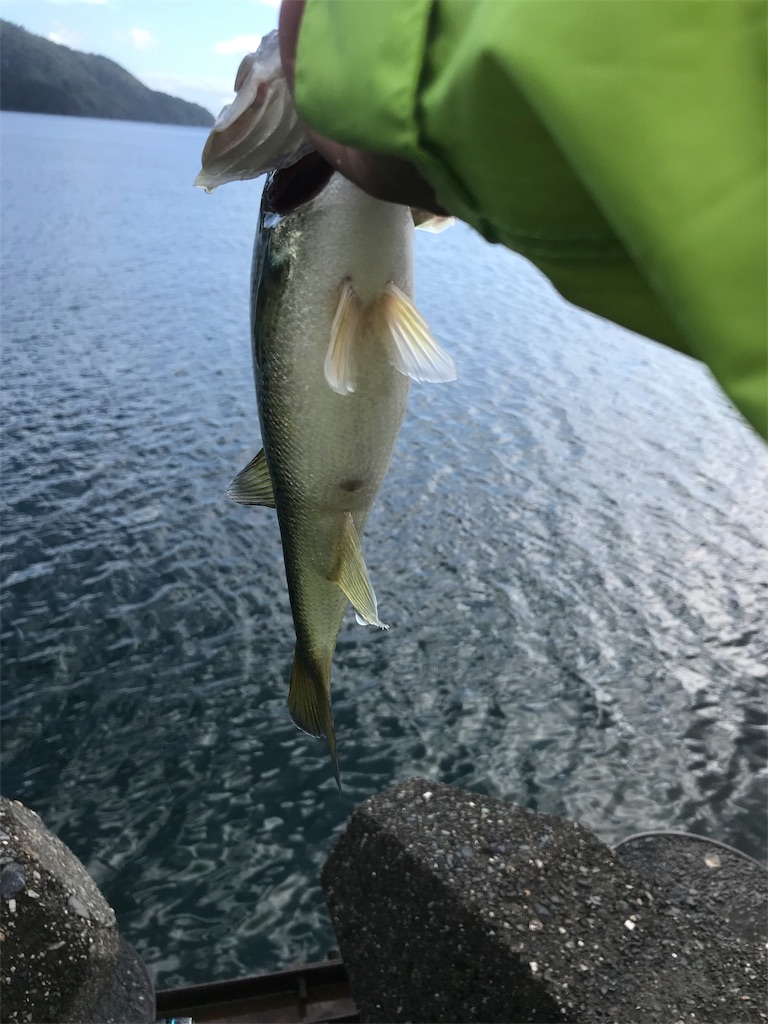 f:id:KFG:20191005052108j:image f:id:KFG:20191005052108j:image