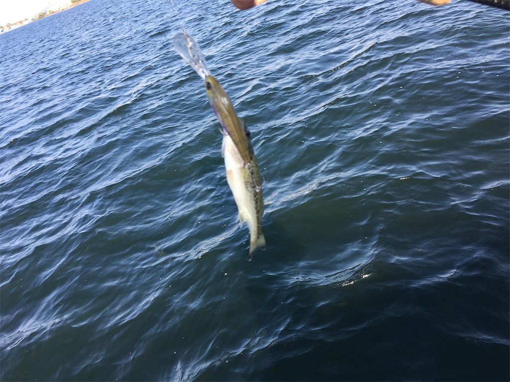 f:id:KFG:20191006105904j:image