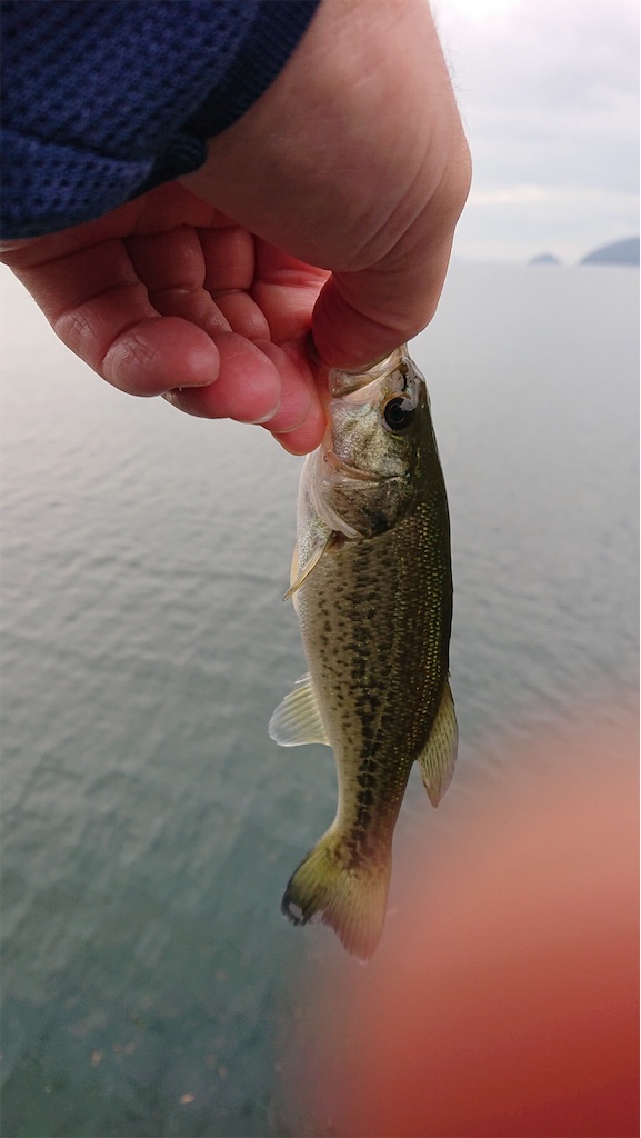 f:id:KFG:20191029131814j:image