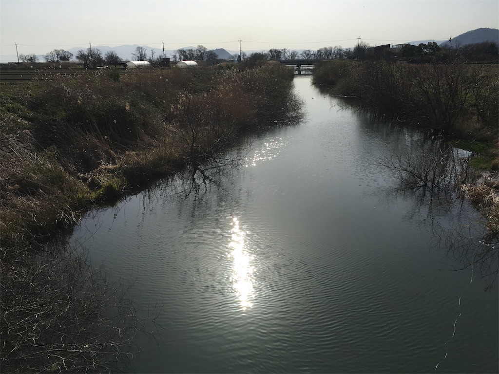 f:id:KFG:20200321204034j:image