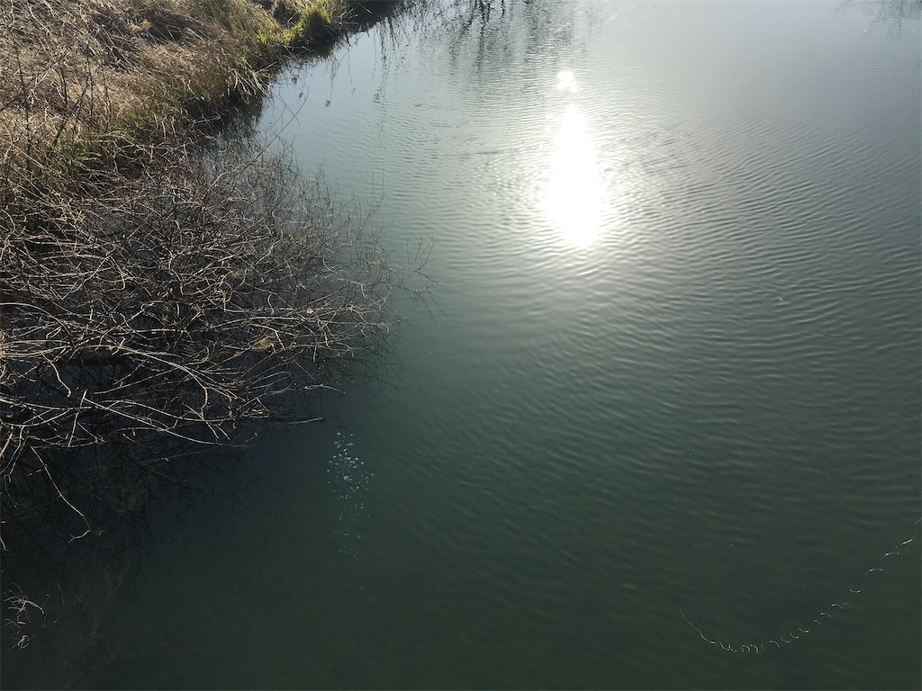 f:id:KFG:20200321204058j:image