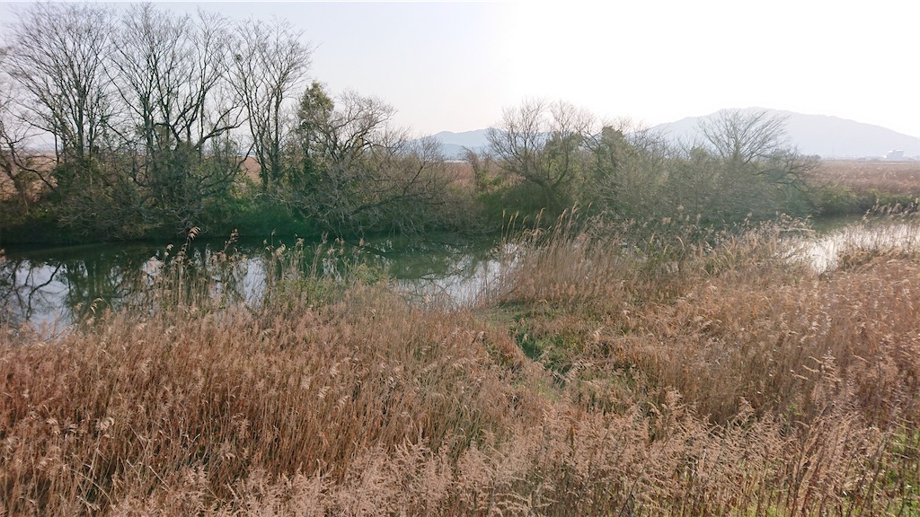 f:id:KFG:20200321224053j:image f:id:KFG:20200321224053j:image