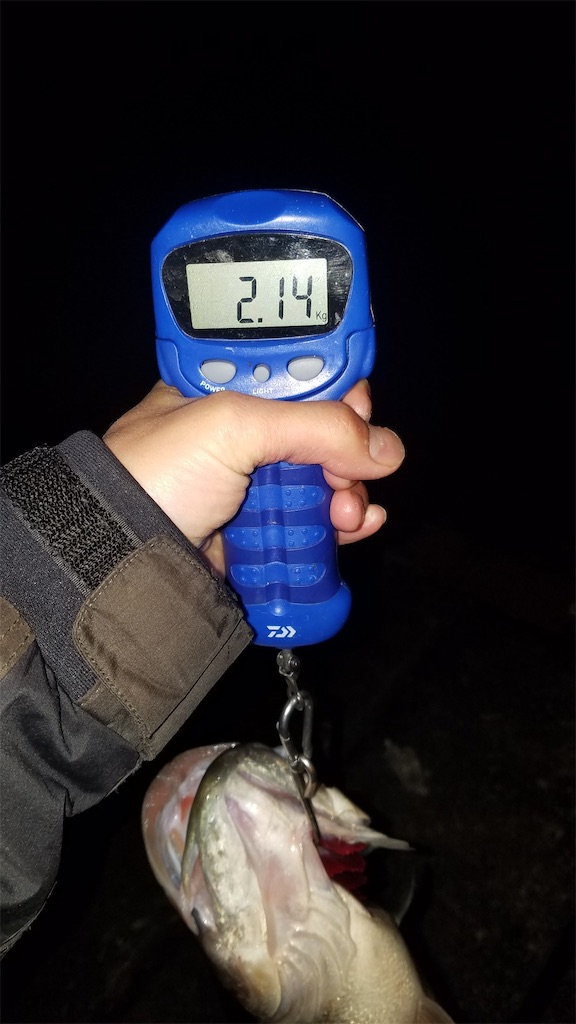 f:id:KFG:20200324210211j:image f:id:KFG:20200324210211j:image