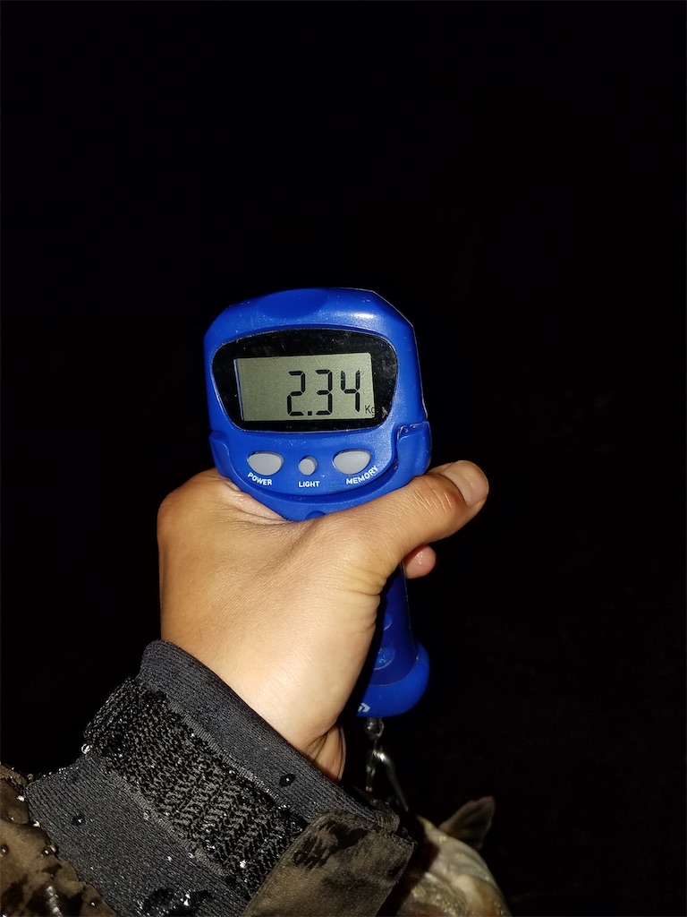 f:id:KFG:20200411070923j:image f:id:KFG:20200411070923j:image