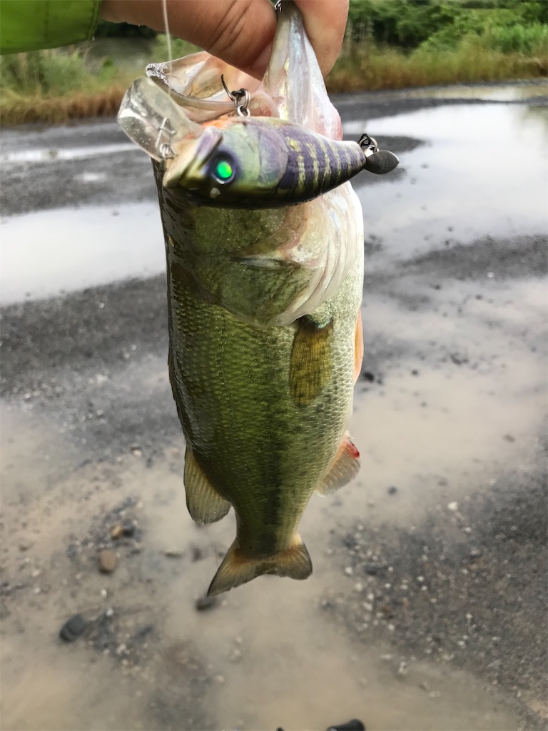 f:id:KFG:20200613185444j:image