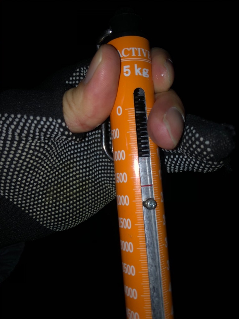 f:id:KFG:20210131152106j:image