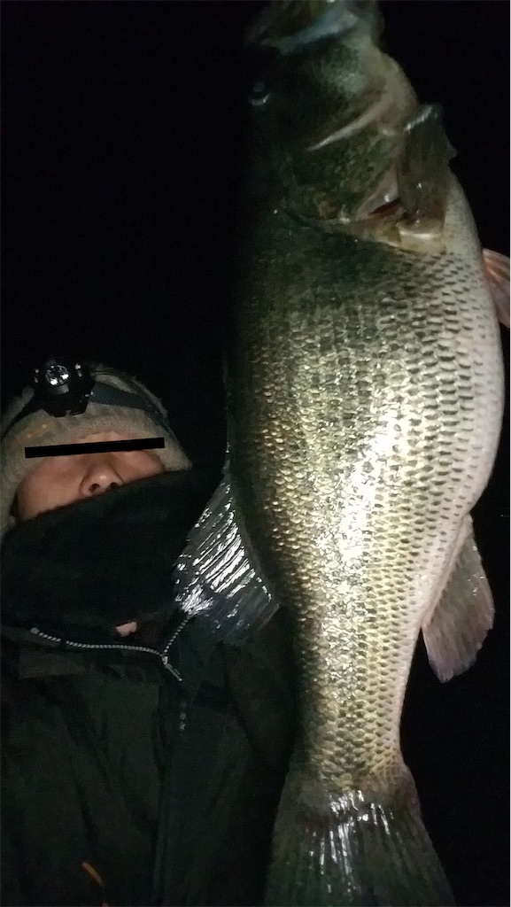 f:id:KFG:20210311121148j:image