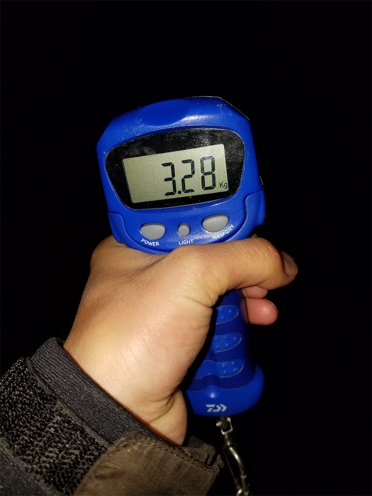 f:id:KFG:20210311121241j:image