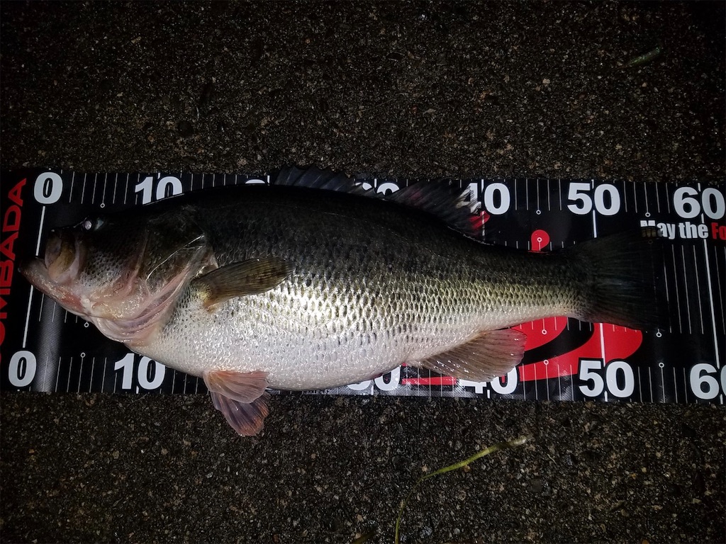 f:id:KFG:20210311121245j:image