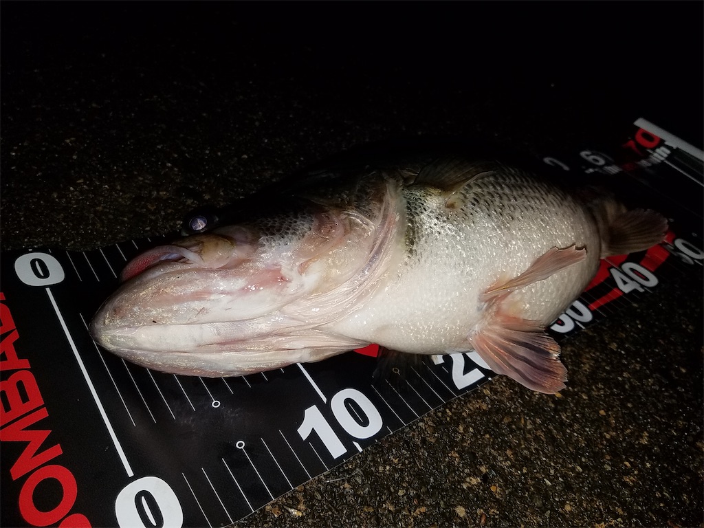 f:id:KFG:20210311121248j:image