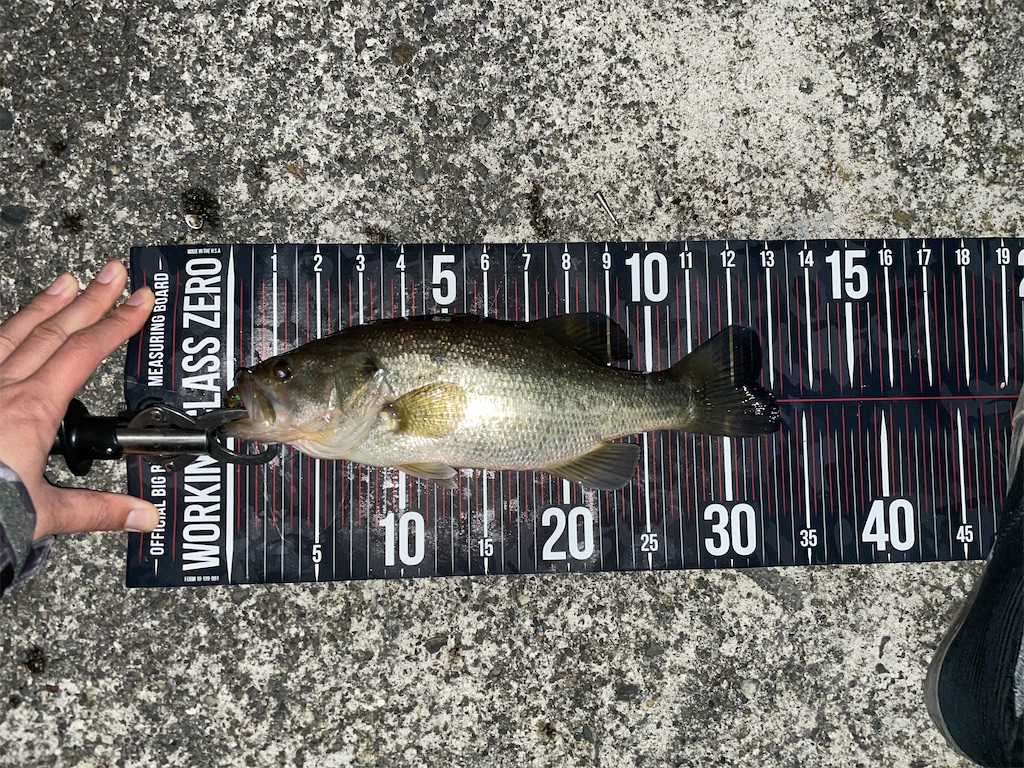 f:id:KFG:20210312075605j:image