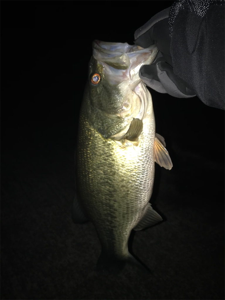 f:id:KFG:20210315050714j:image f:id:KFG:20210315050714j:image