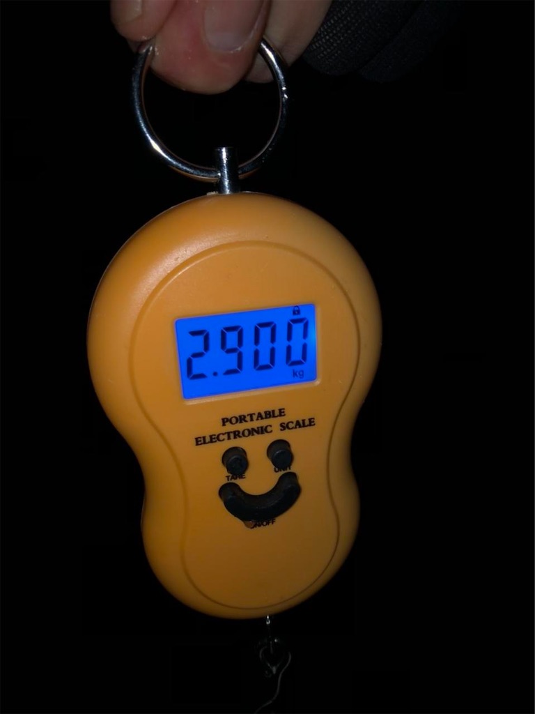 f:id:KFG:20210315050717j:image f:id:KFG:20210315050717j:image