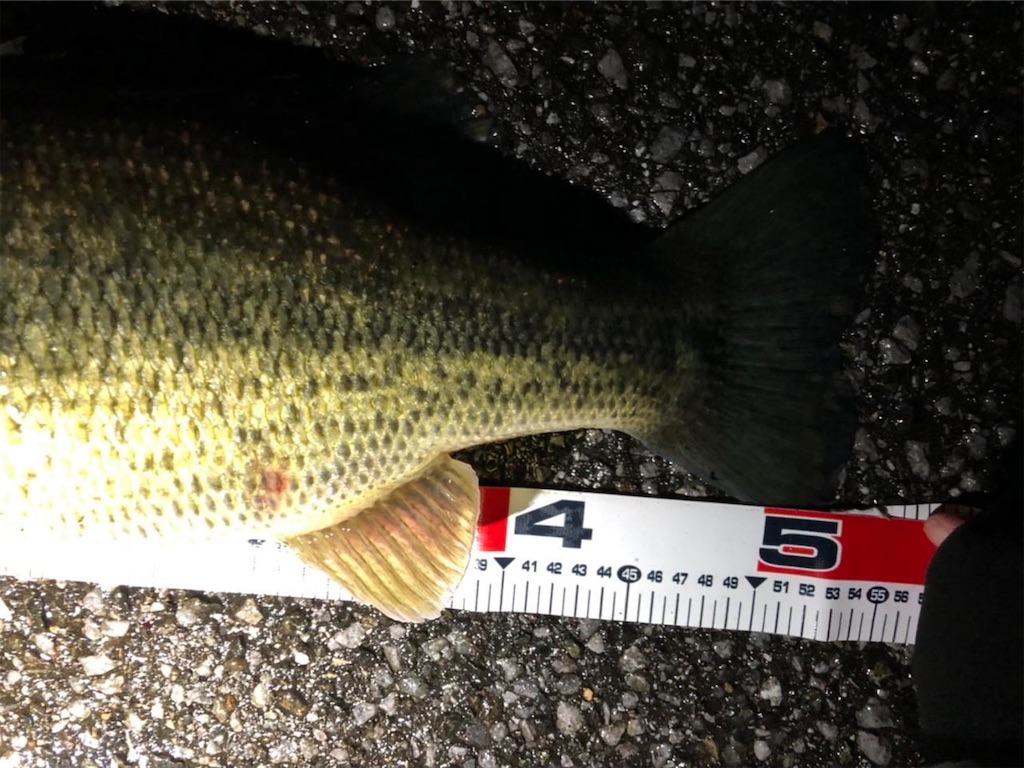 f:id:KFG:20210315050723j:image f:id:KFG:20210315050723j:image