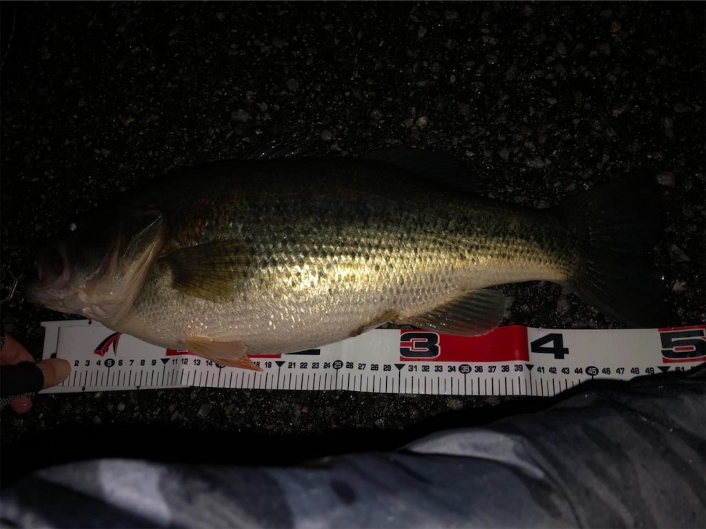 f:id:KFG:20210315050727j:image f:id:KFG:20210315050727j:image