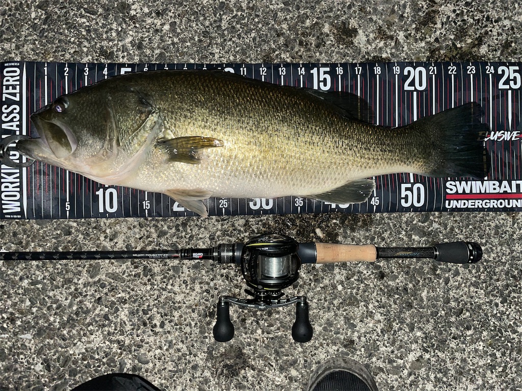 f:id:KFG:20210315060905j:image