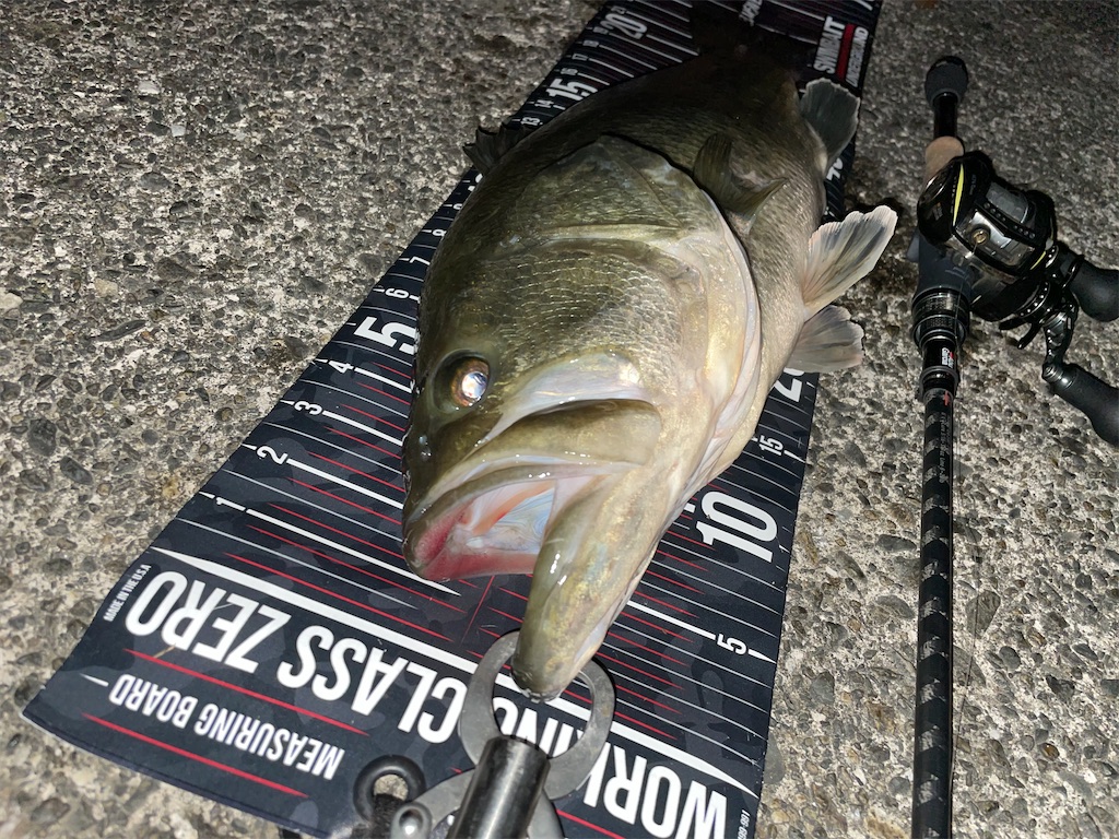 f:id:KFG:20210315060912j:image