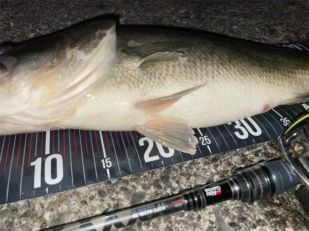 f:id:KFG:20210315060926j:image