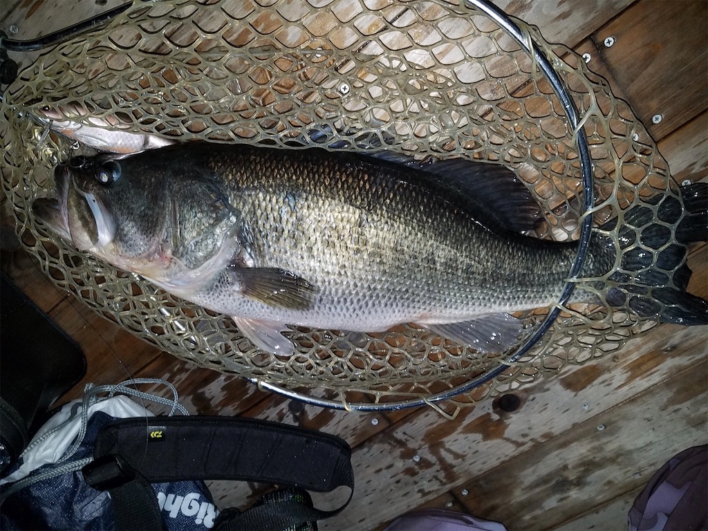 f:id:KFG:20210317095408j:image f:id:KFG:20210317095408j:image