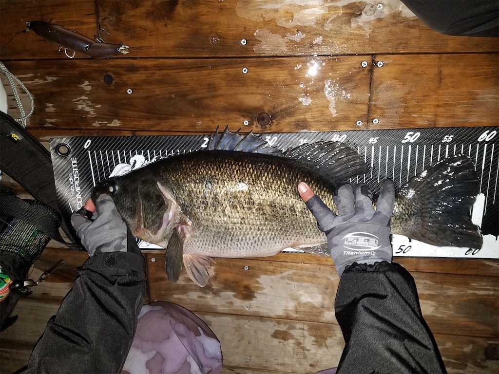 f:id:KFG:20210317095510j:image f:id:KFG:20210317095510j:image