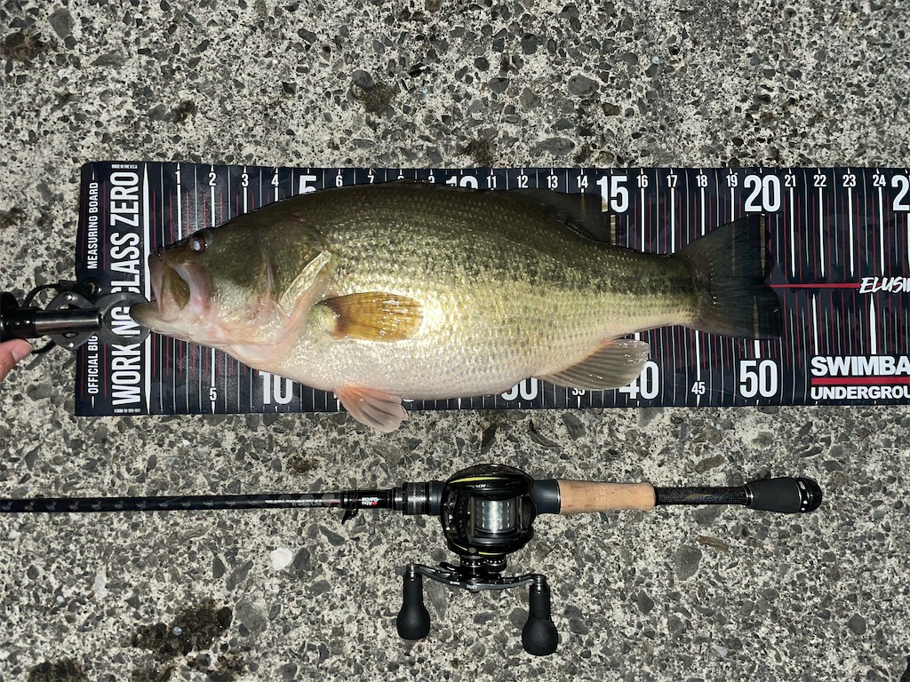 f:id:KFG:20210324055610j:image f:id:KFG:20210324055610j:image