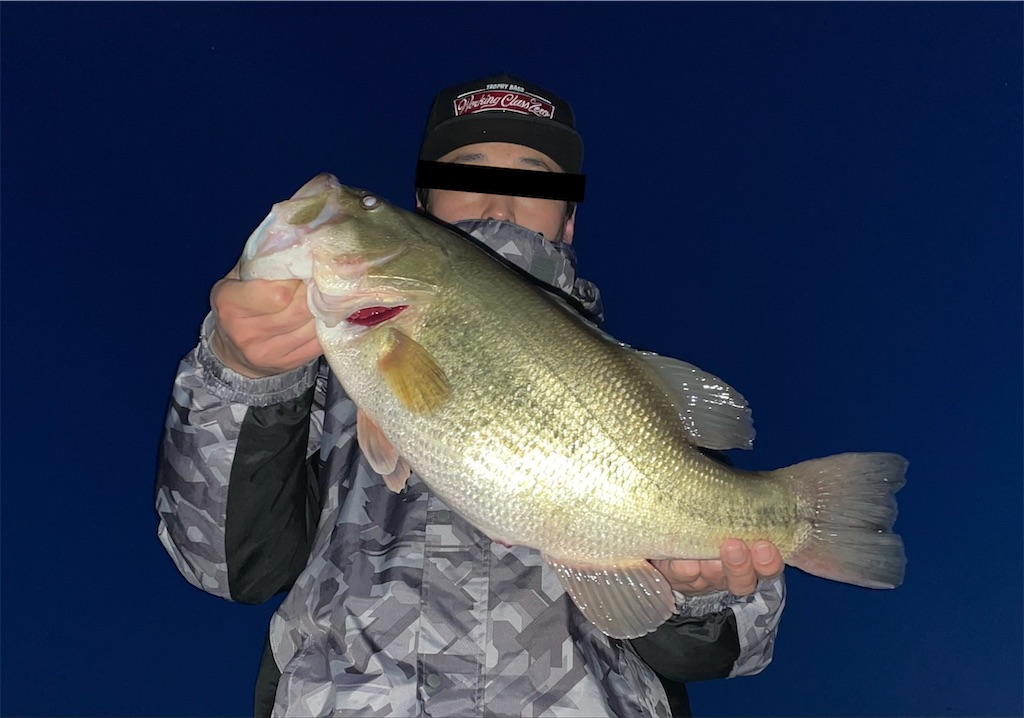 f:id:KFG:20210324064226j:image f:id:KFG:20210324064226j:image