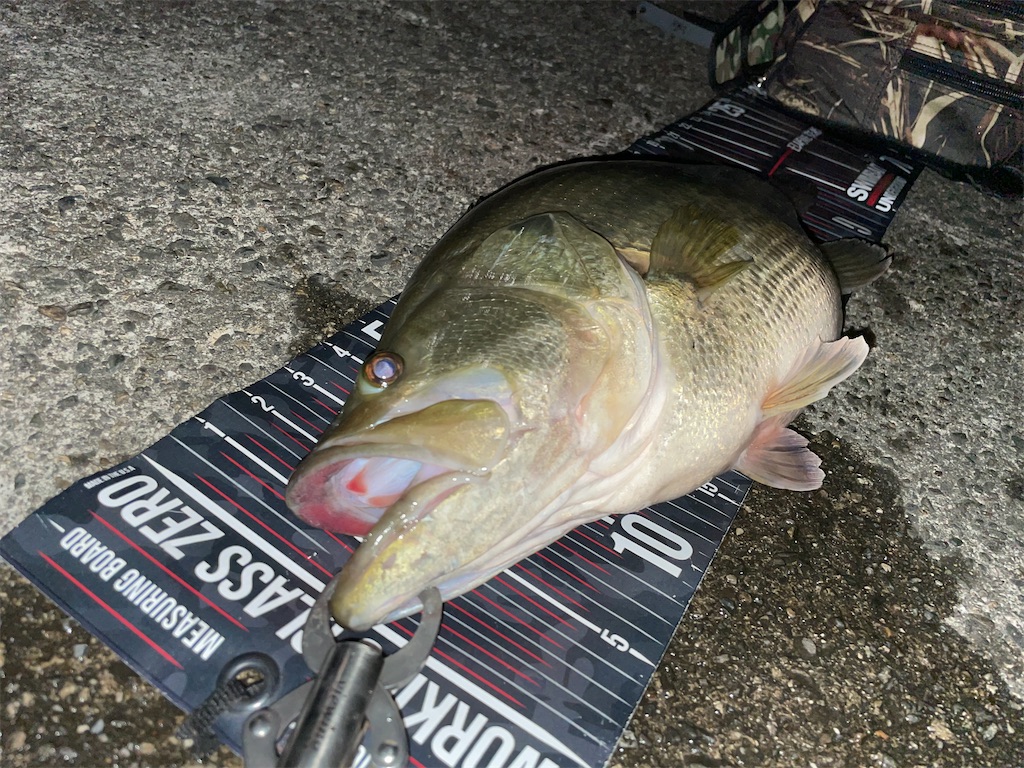 f:id:KFG:20210331073440j:image