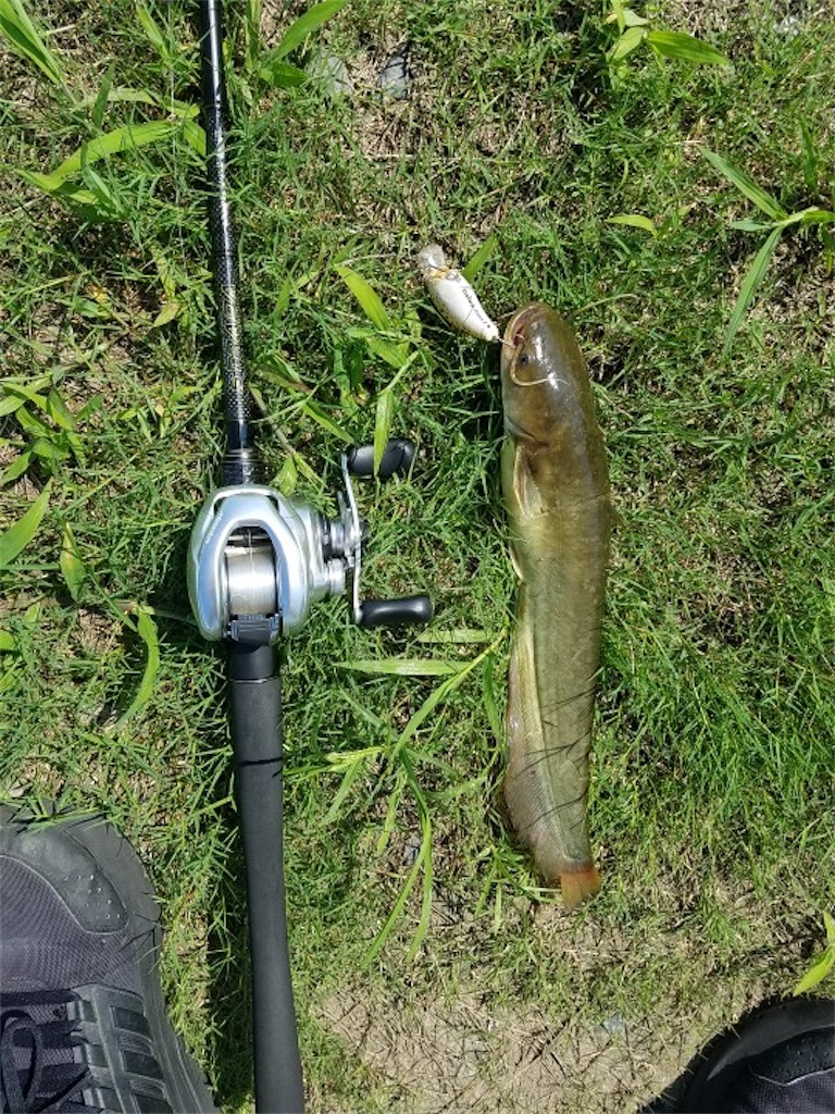f:id:KFG:20210714095926j:image