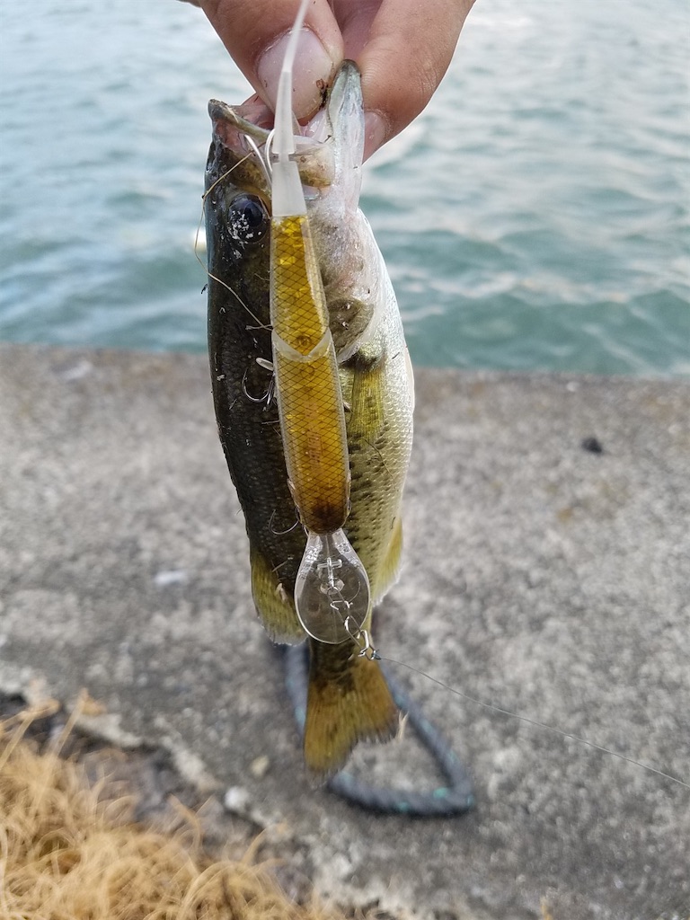 f:id:KFG:20210730160205j:image