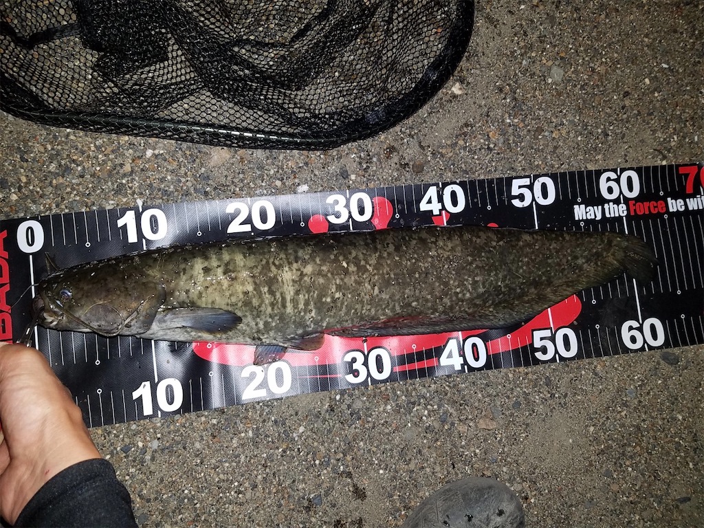 f:id:KFG:20210730160715j:image