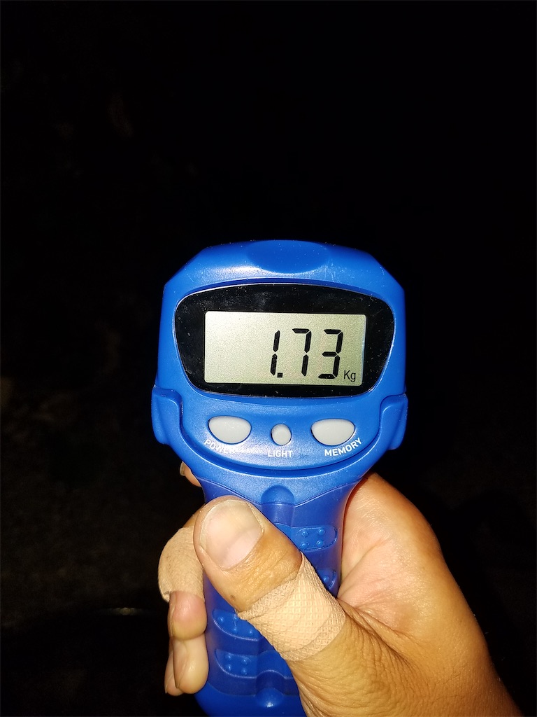 f:id:KFG:20210730161020j:image