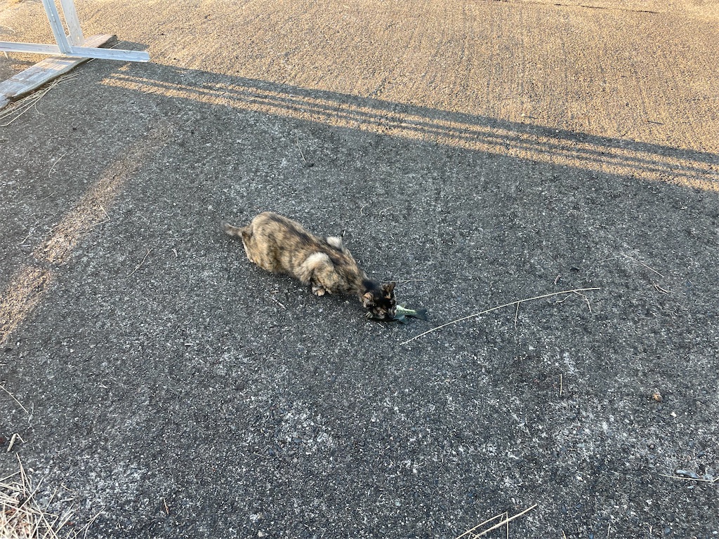 f:id:KFG:20210804074117j:image f:id:KFG:20210804074117j:image