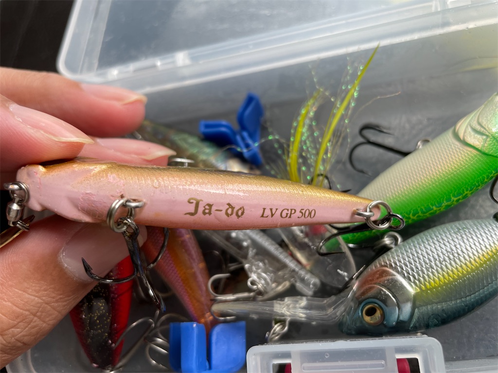 f:id:KFG:20210815122428j:image f:id:KFG:20210815122428j:image