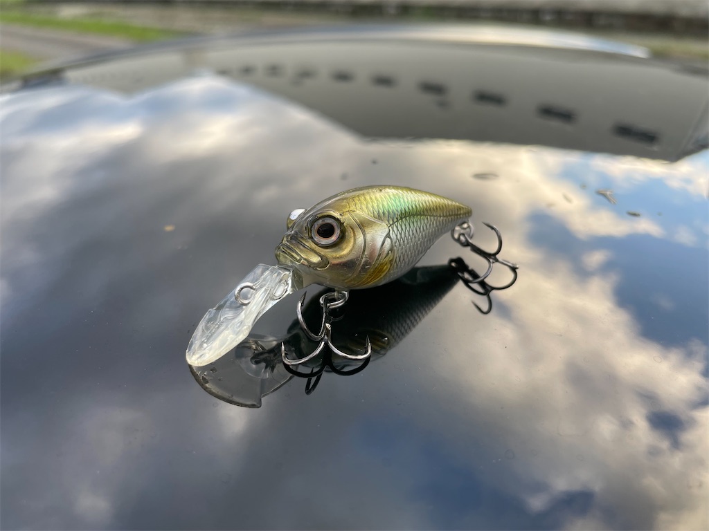 f:id:KFG:20210818183348j:image