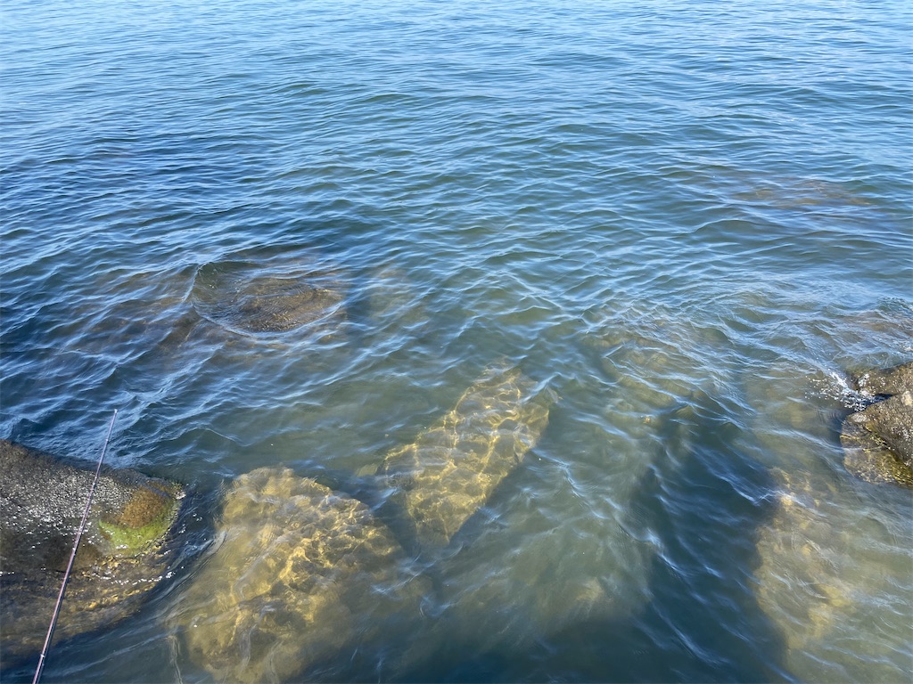 f:id:KFG:20210828163500j:image f:id:KFG:20210828163500j:image