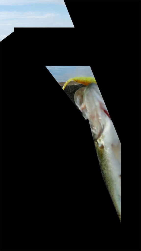 f:id:KFG:20210906123446j:image