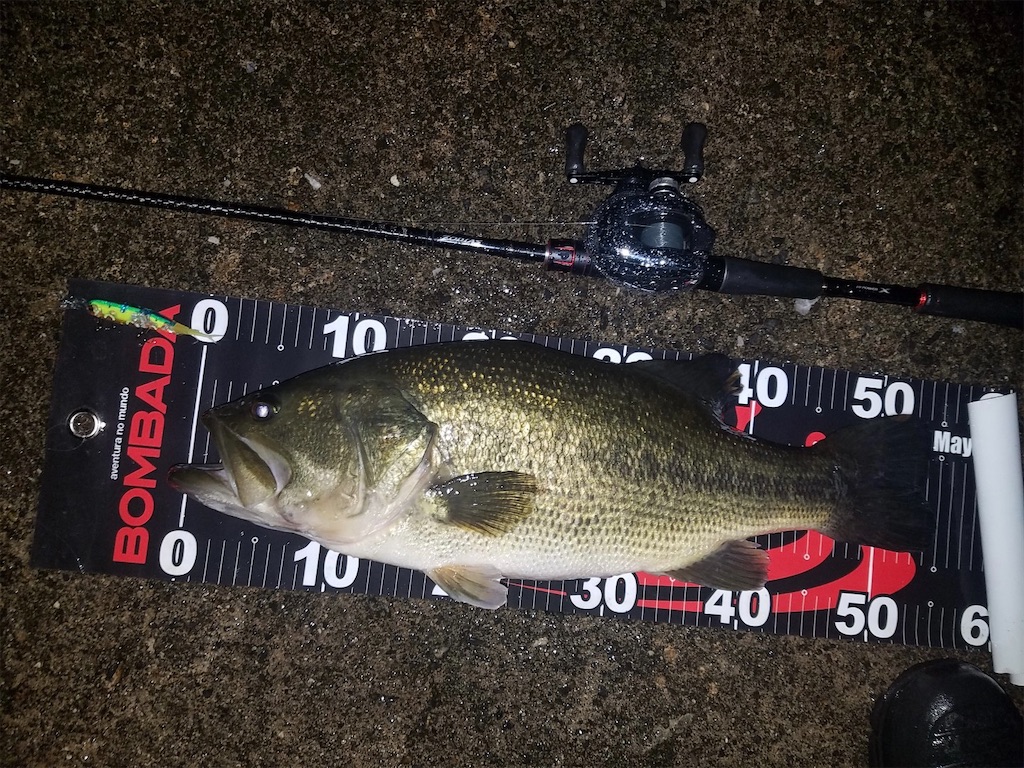 f:id:KFG:20211112121914j:image f:id:KFG:20211112121914j:image