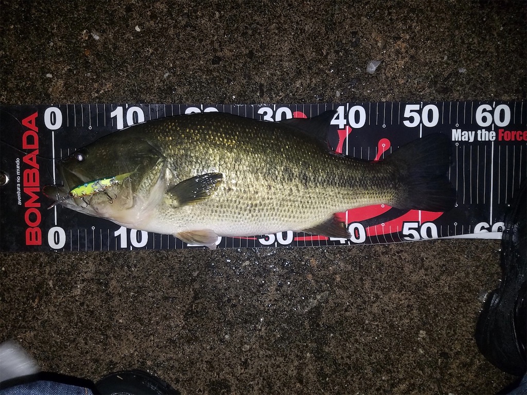 f:id:KFG:20211112121916j:image f:id:KFG:20211112121916j:image