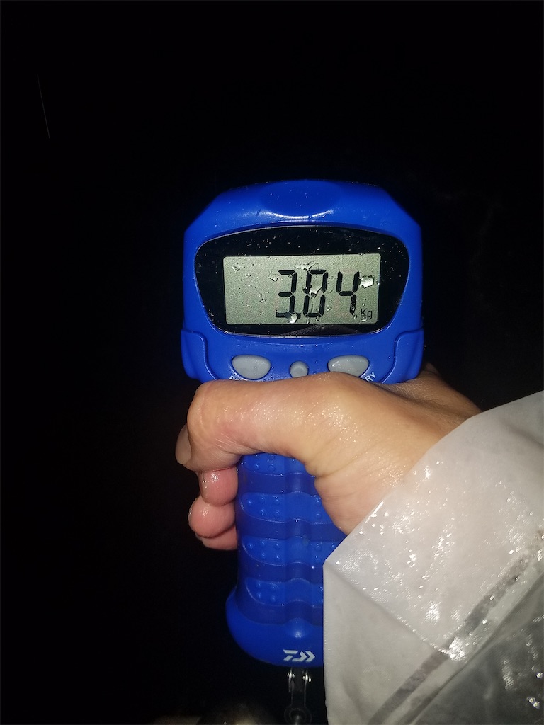 f:id:KFG:20211112121919j:image f:id:KFG:20211112121919j:image