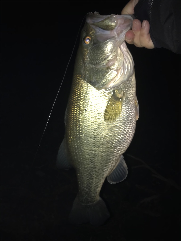 f:id:KFG:20220321111252j:image f:id:KFG:20220321111252j:image