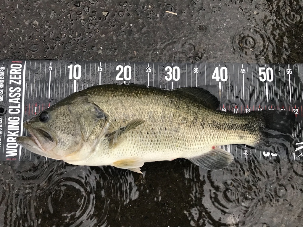 f:id:KFG:20220714225114j:image f:id:KFG:20220714225114j:image