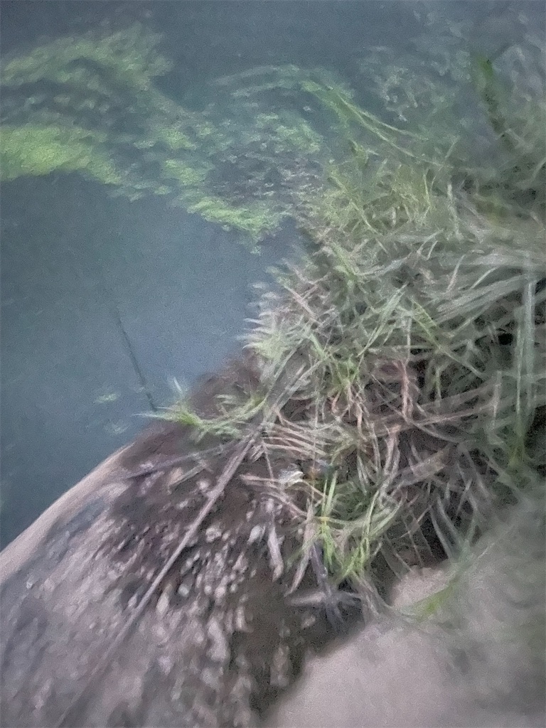 f:id:KFG:20220726193413j:image