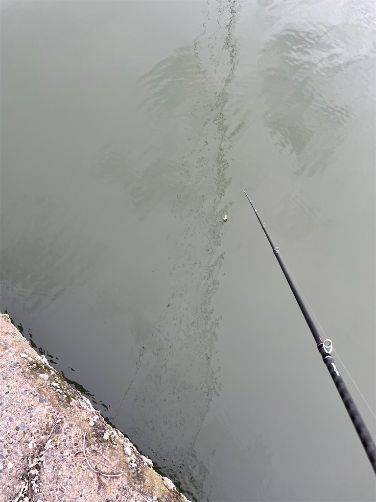 f:id:KFG:20220727192413j:image f:id:KFG:20220727192413j:image