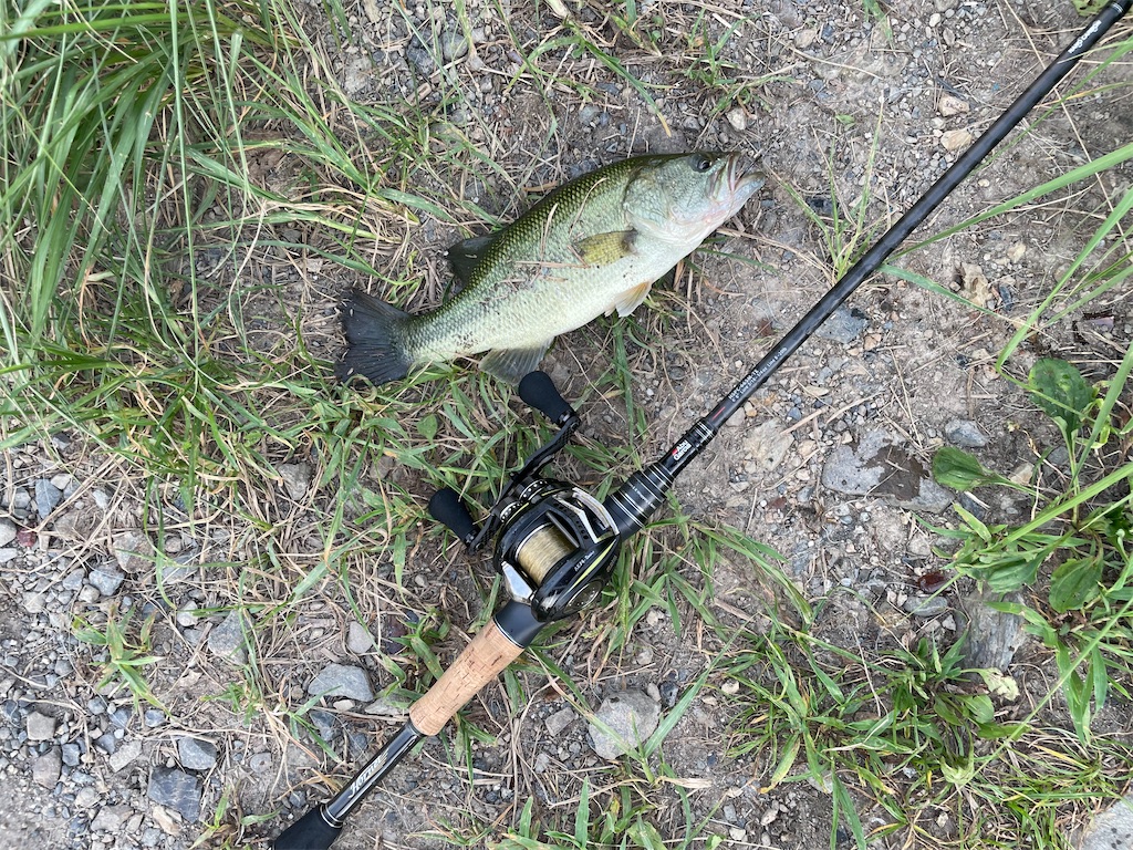 f:id:KFG:20220802191703j:image