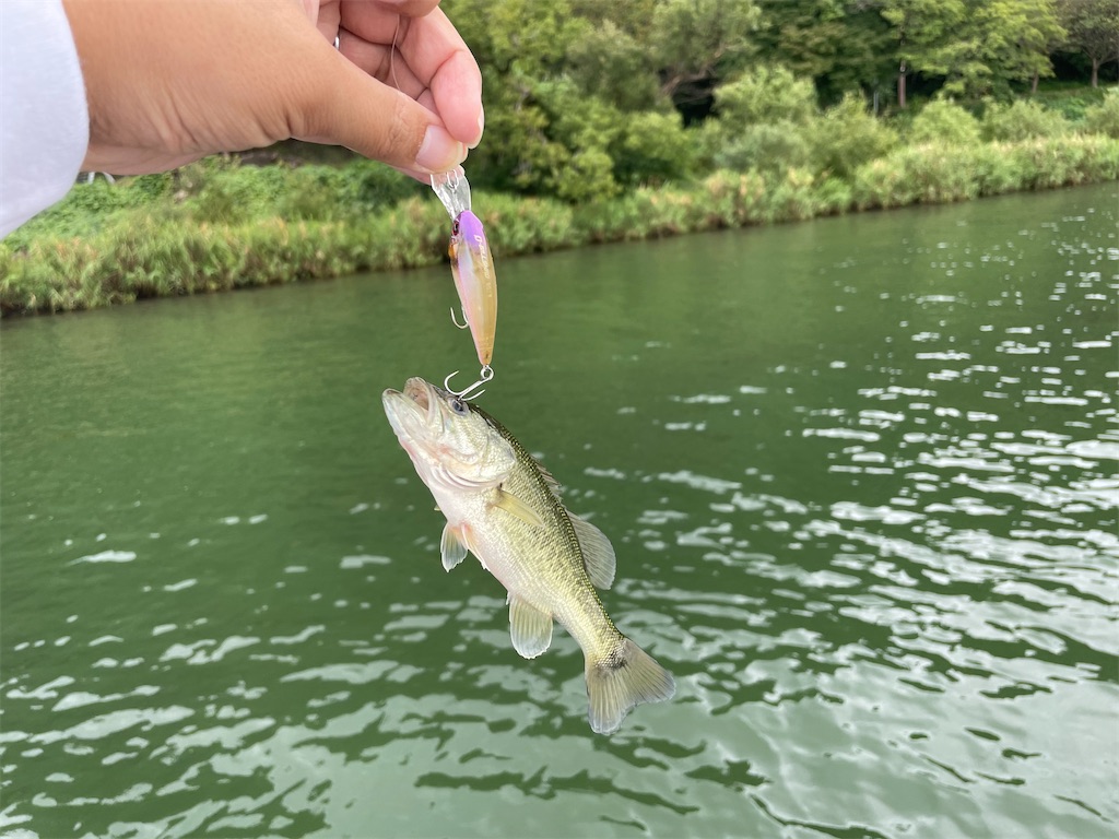 f:id:KFG:20220910030920j:image