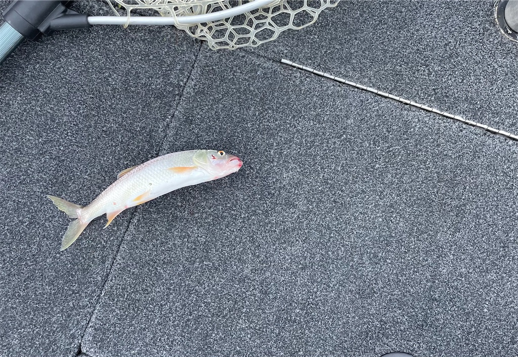 f:id:KFG:20220910031041j:image