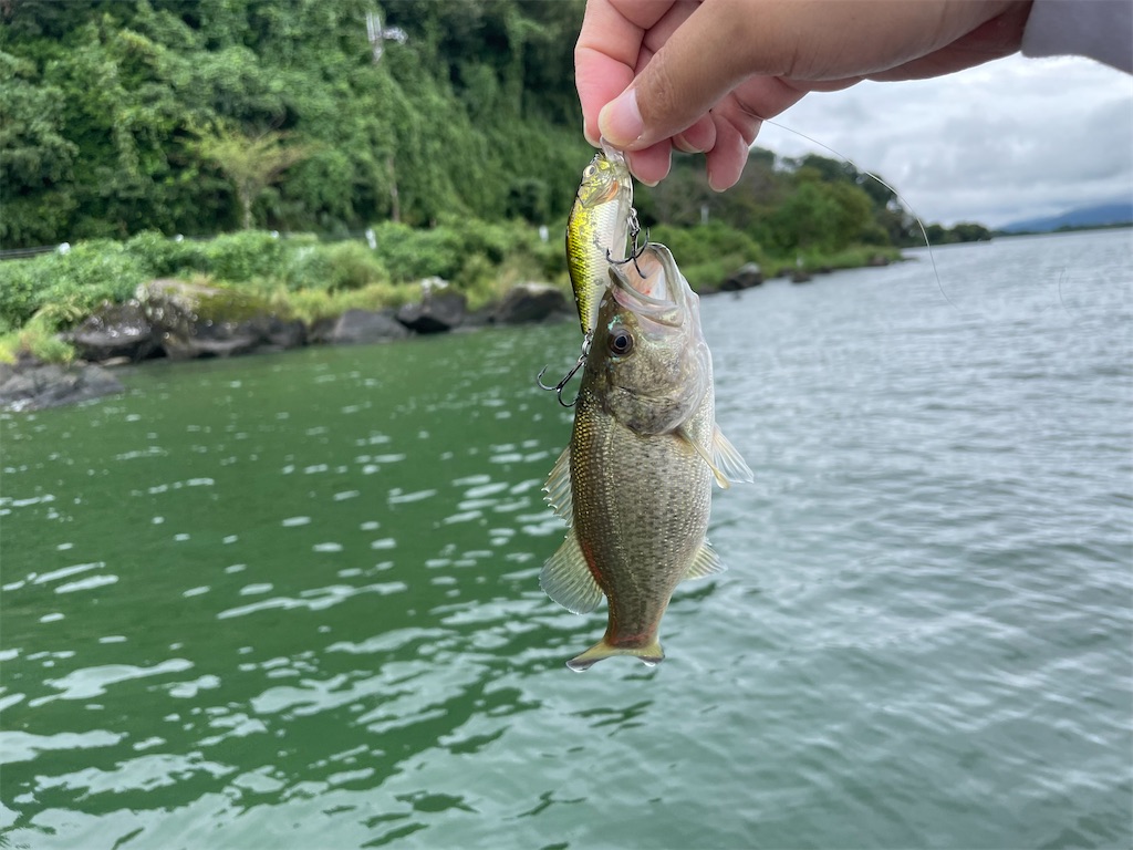 f:id:KFG:20220910031054j:image