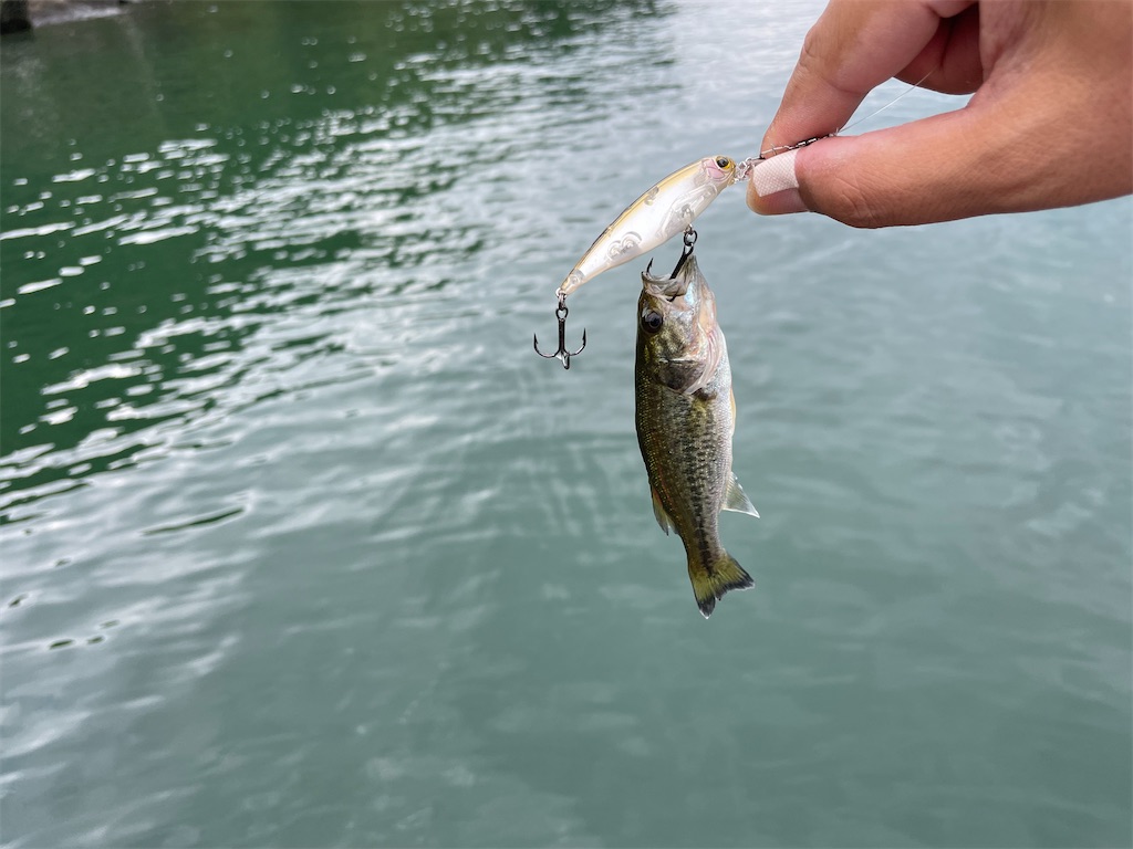 f:id:KFG:20220910031137j:image