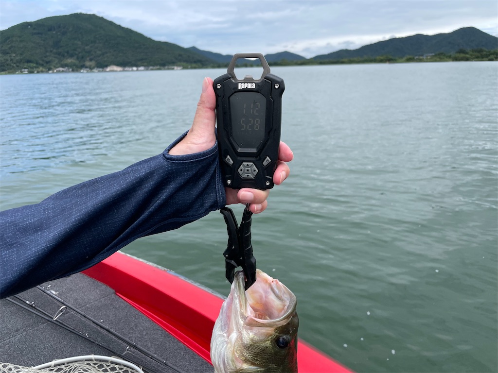 f:id:KFG:20220910031317j:image